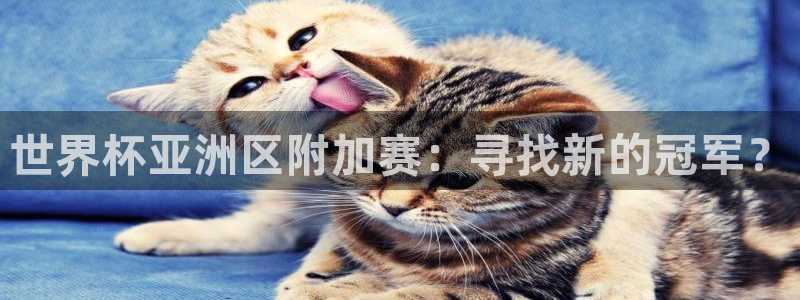 2006年世界杯冠军:世界杯亚洲区附加赛:寻找新的冠军?