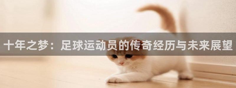 世界杯2026预选赛:十年之梦:足球运动员的传奇经历与未来展望