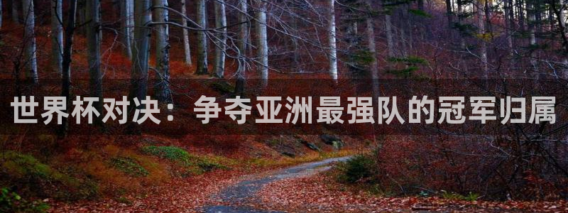 2026世界杯赛制:世界杯对决:争夺亚洲最强队的冠军归属