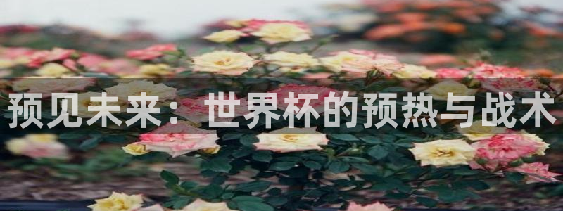 世界杯今日赛程直播:预见未来:世界杯的预热与战术