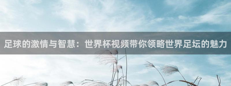 世界杯视频:足球的激情与智慧:世界杯视频带你领略世界足坛的魅力