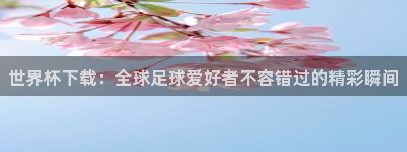 今年世界杯:世界杯下载:全球足球爱好者不容错过的精彩瞬间