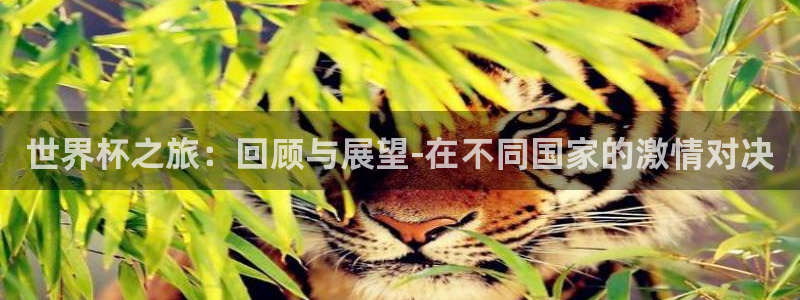 2026世界杯亚洲预选赛:世界杯之旅:回顾与展望-在不同国家的激情对决